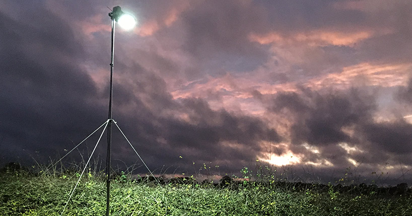 Street lighting mitigation work at NU Farms Cockle Park
